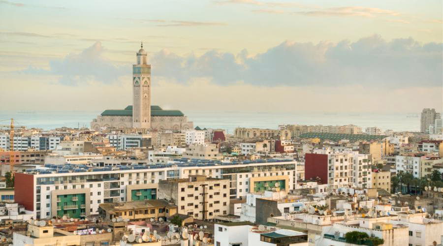 What are the most popular vehicle choices in Casablanca?